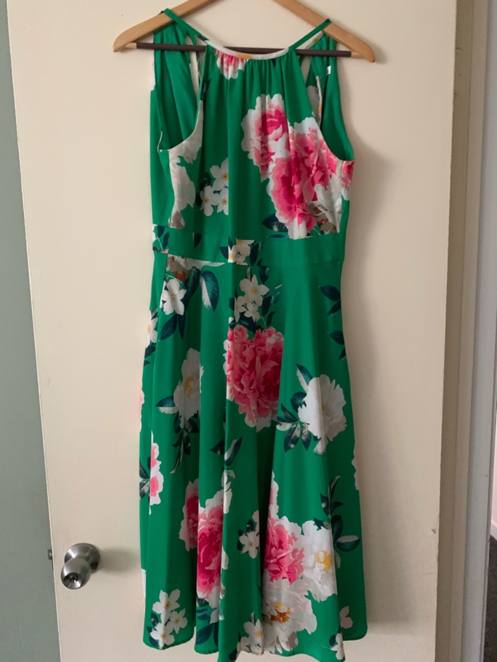 Eliza J Green Floral Maxi Dress with Pink and White Blooms Size 6